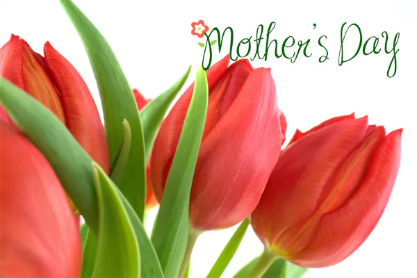 Download best Mother's Day greetings for Aunt.#MothersDayMessages,#MothersDayQuotes,#MothersDayGreetings,#MothersDayWishes