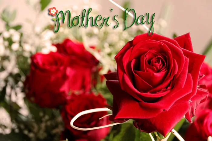 Get Happy Mother's Day, my treasure love wordings