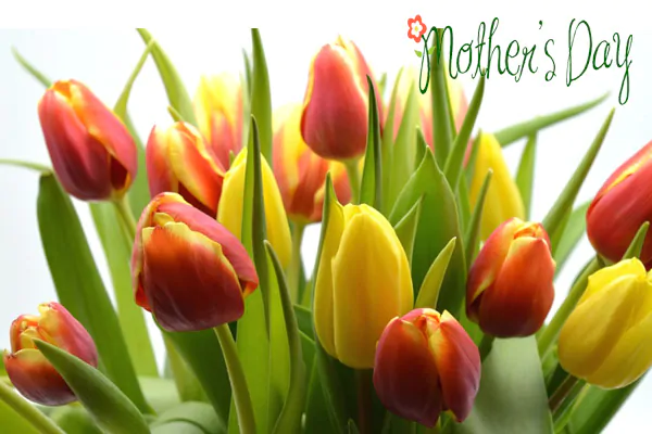 Cute Mother's Day Greetings for Daughter.#MothersDayMessages,#MothersDayQuotes,#MothersDayGreetings,#MothersDayWishes